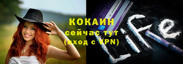 соль курить ск Новозыбков