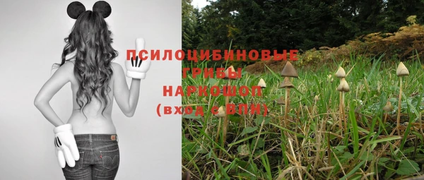 соль курить ск Новозыбков
