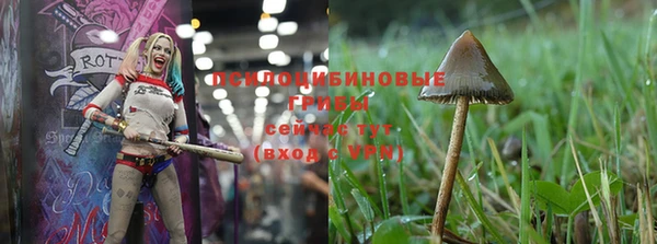 кокаин колумбия Новодвинск