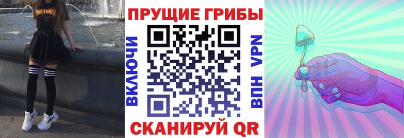 Галлюциногенные грибы MAGIC MUSHROOMS  Салехард 